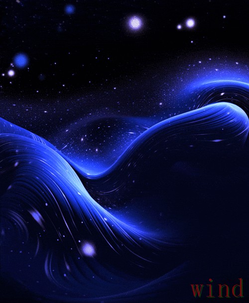 星空科技控股品牌动态与资讯解读