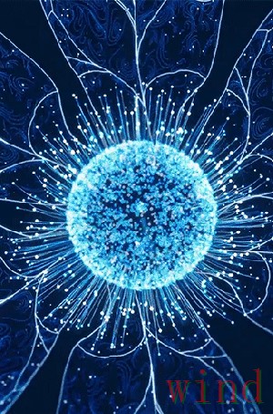 星空科技控股品牌动态与资讯解读 星空科技控股品牌动态与资讯解读