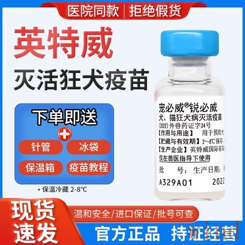 必威正规版入口说明与使用指南